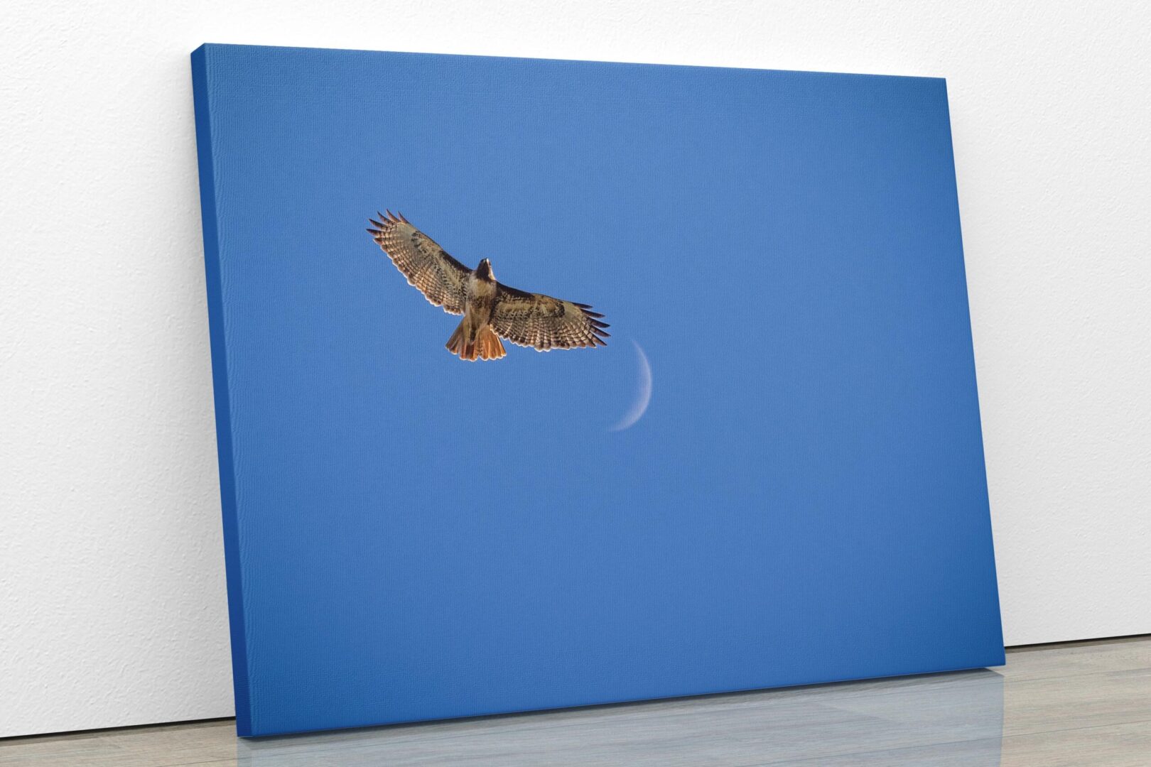 A bird flying in the sky with a moon in the background.