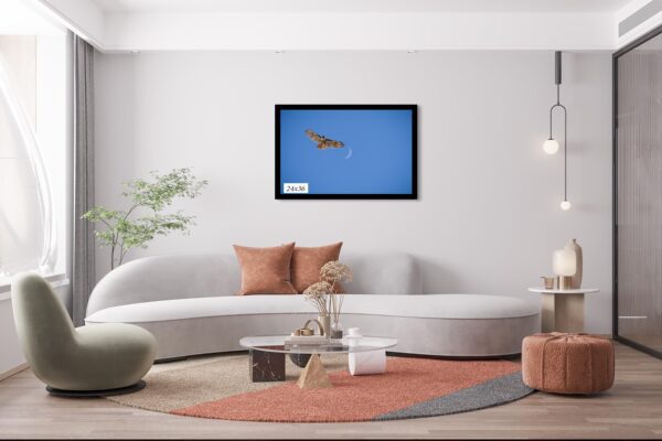 A living room with a couch and a table