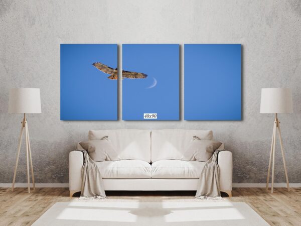 A large bird flying in the sky with a moon above it.