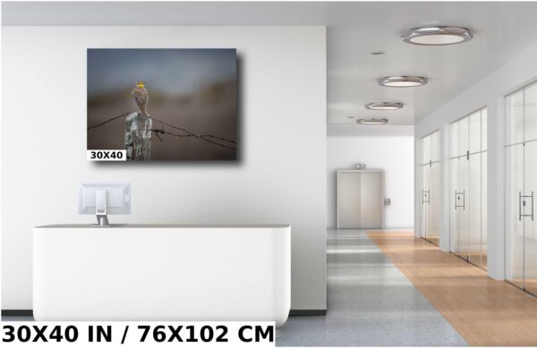 A large picture of a room with a white sink and a mirror