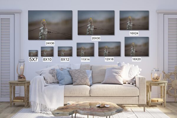 A living room with many pictures of horses on the wall