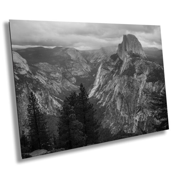 A black and white photo of mountains with trees