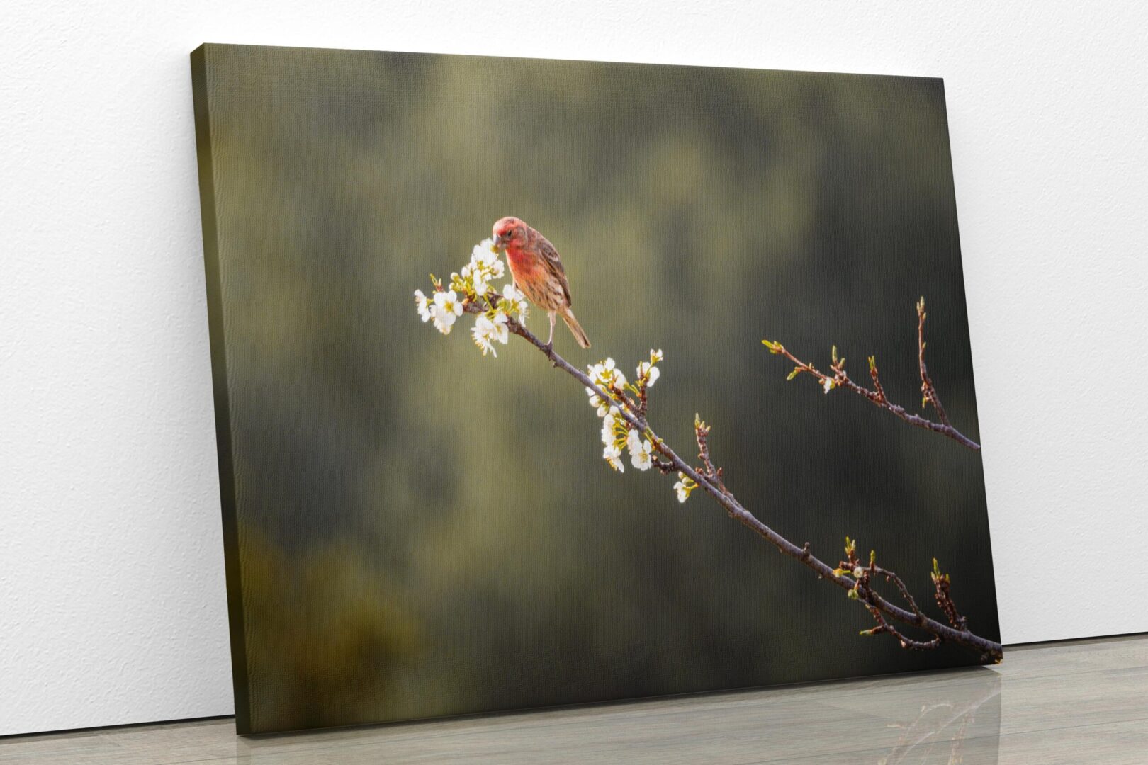 A bird sitting on top of a branch.