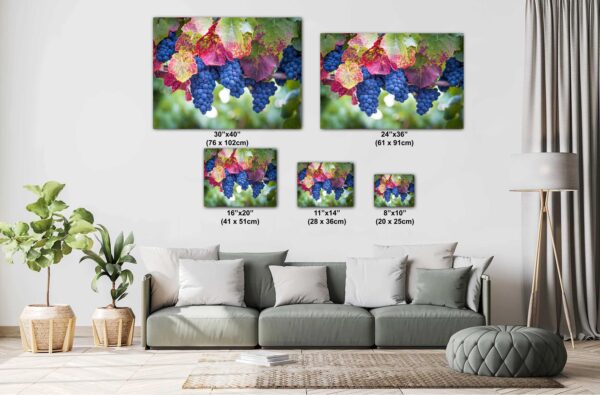 A couch with pillows and a painting of grapes.