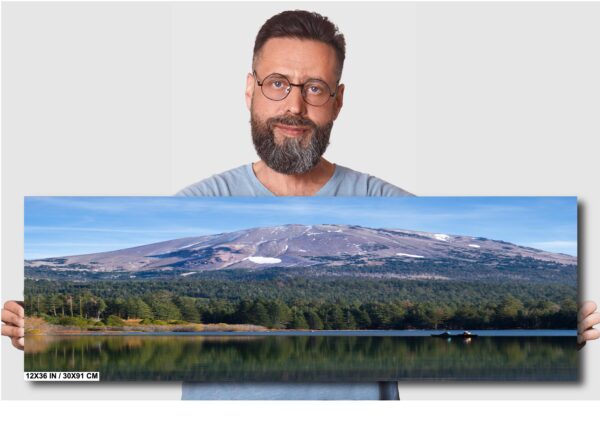 A man is standing in front of a large picture.