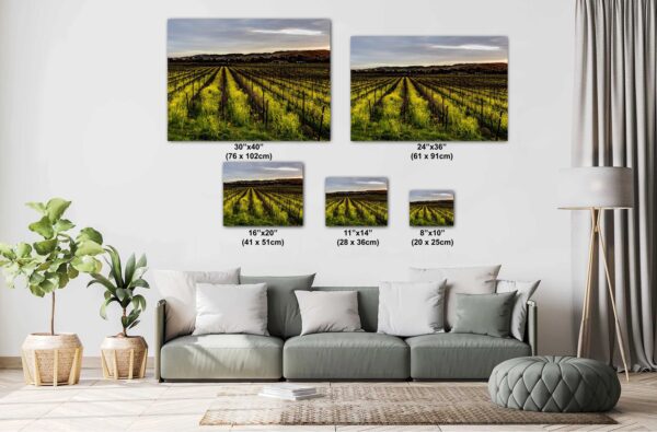 A living room with couch and pillows, and several pictures of the same field.