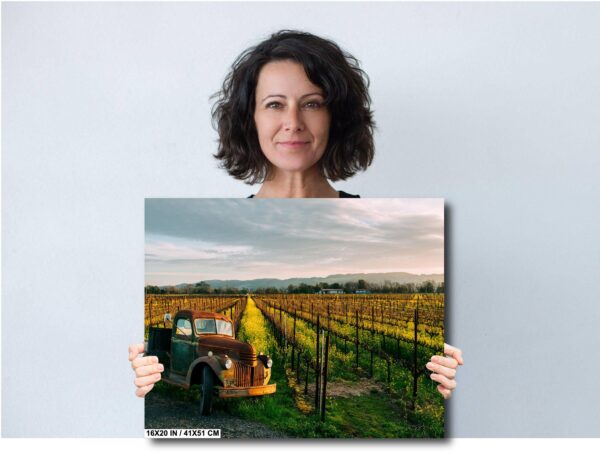 A woman holding up a picture of a truck in the middle of a vineyard.