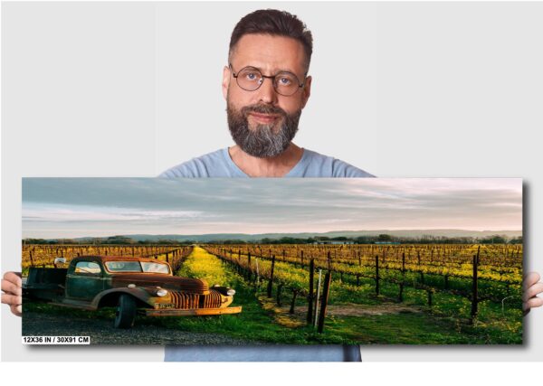 A man with glasses and beard in front of a vineyard.