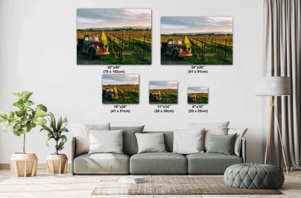 A couch with pillows and a picture of some fields