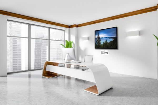 A living room with a tv and a plant