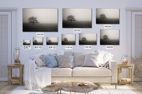 A couch with many different sizes of pictures on it