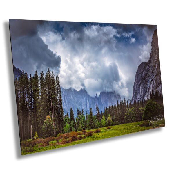 A picture of the mountains and trees in front of them.
