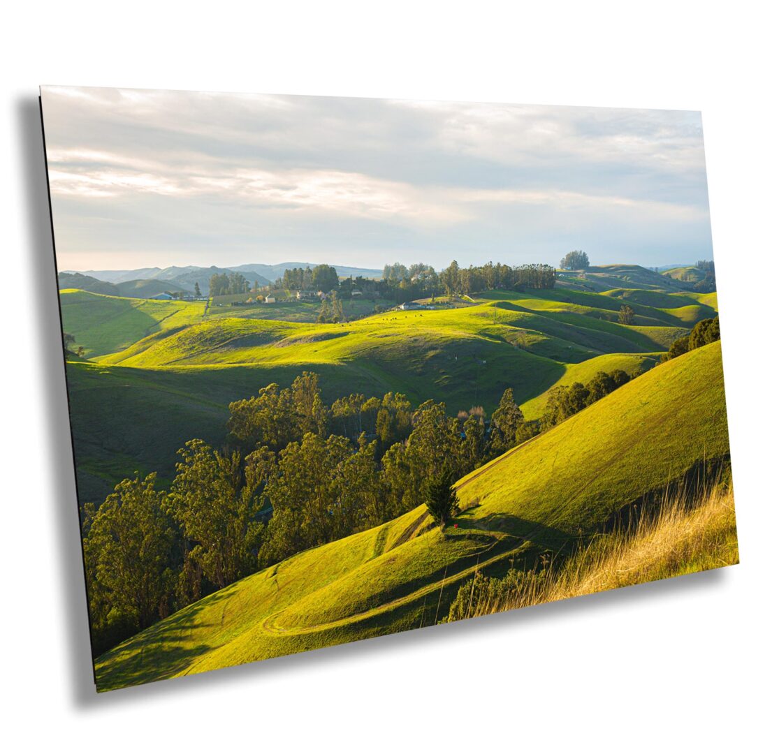 Golden hills at Helen Putnam Park in Petaluma, California. Sunlight rolls across green ridges and valleys after a storm, under a soft cloudy sky.
