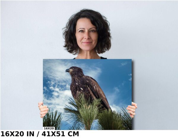 A woman holding up a picture of an eagle.