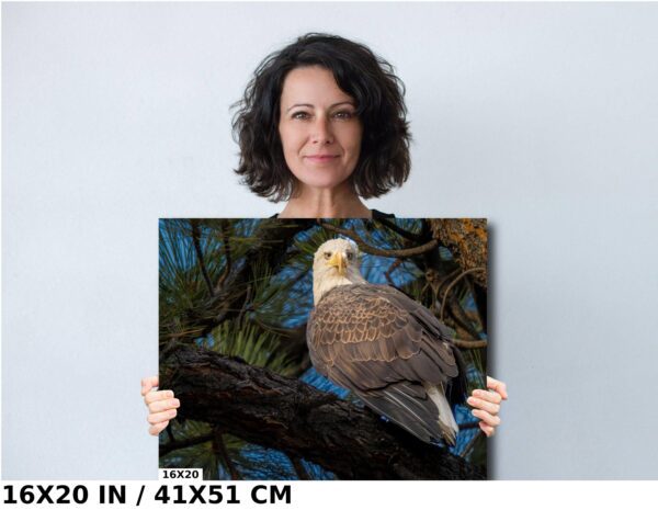 A woman holding up an eagle painting.