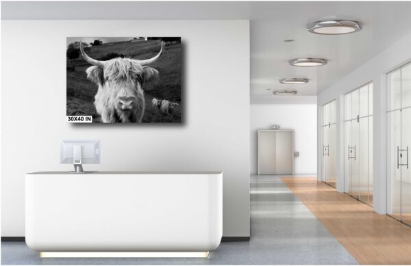 A bull is standing in the middle of a bathroom.
