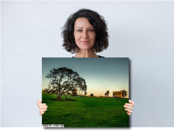 A woman holding up a picture of a tree.