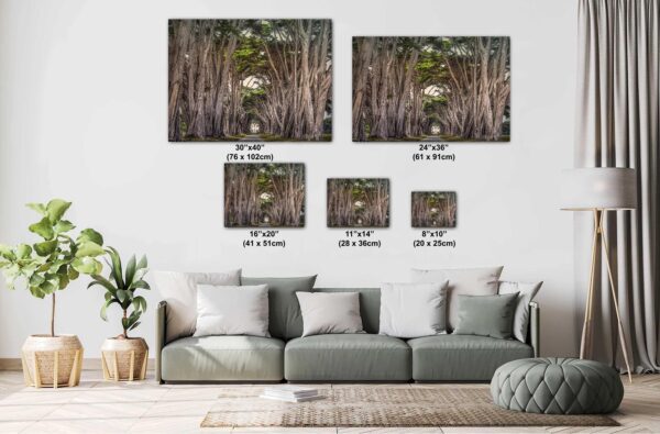 A couch with pillows and a picture of trees
