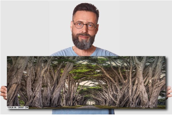 A man standing in front of an image of trees.