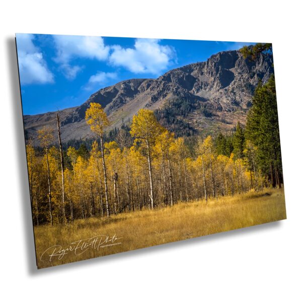 A picture of the mountains in the background.
