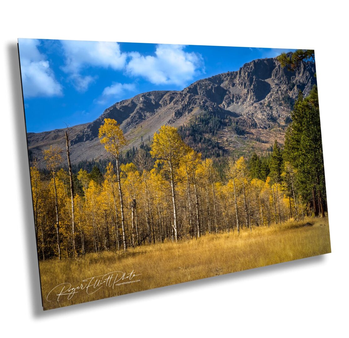 A picture of the mountains in the background.