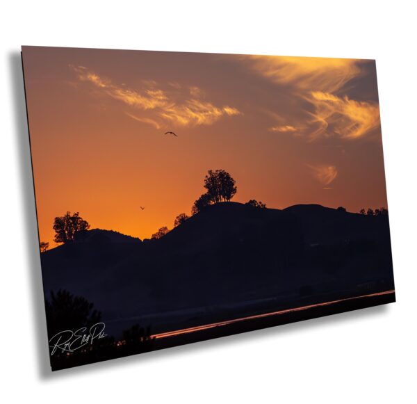 Sunset over silhouetted hills in Petaluma, California. Viewed from Ellis Creek wetlands with vibrant orange sky, birds in flight, and glowing clouds.