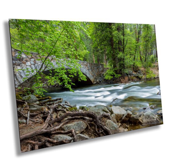 A river running through the woods with trees in the background.