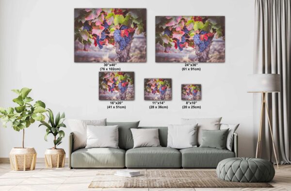 A couch with pillows and a painting of grapes.