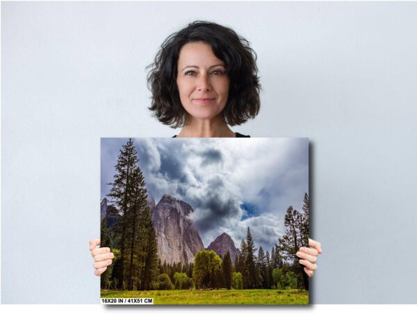 A woman holding up a picture of mountains and trees.