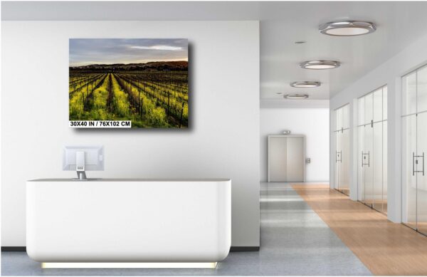 A large picture of a field in the middle of a room.