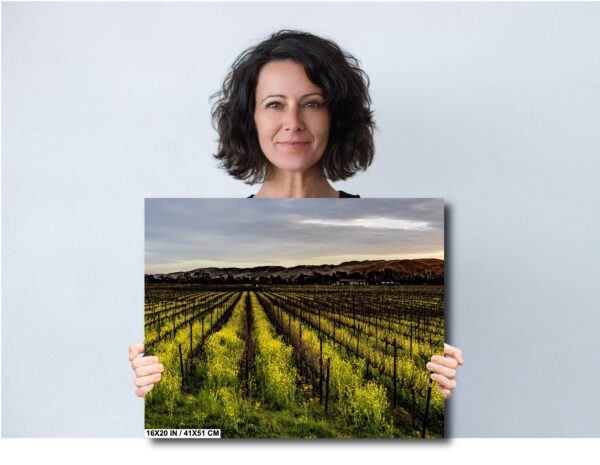 A woman holding up a picture of a vineyard.