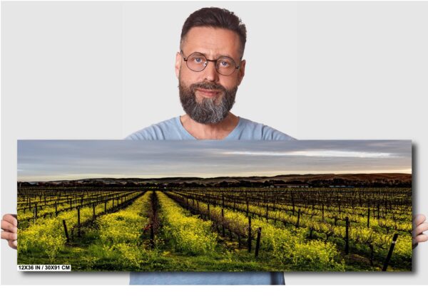 A man with glasses and beard in front of an image of a vineyard.