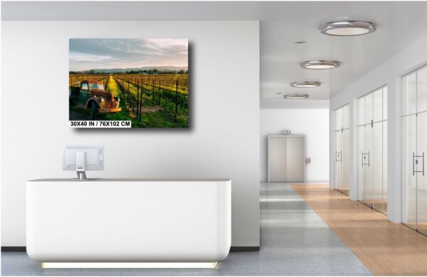A large picture of a field with a tractor on it.