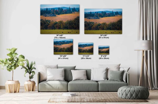 A couch with pillows and two pictures on it