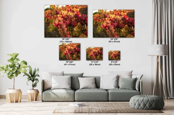 A couch with pillows and a wall hanging of flowers.