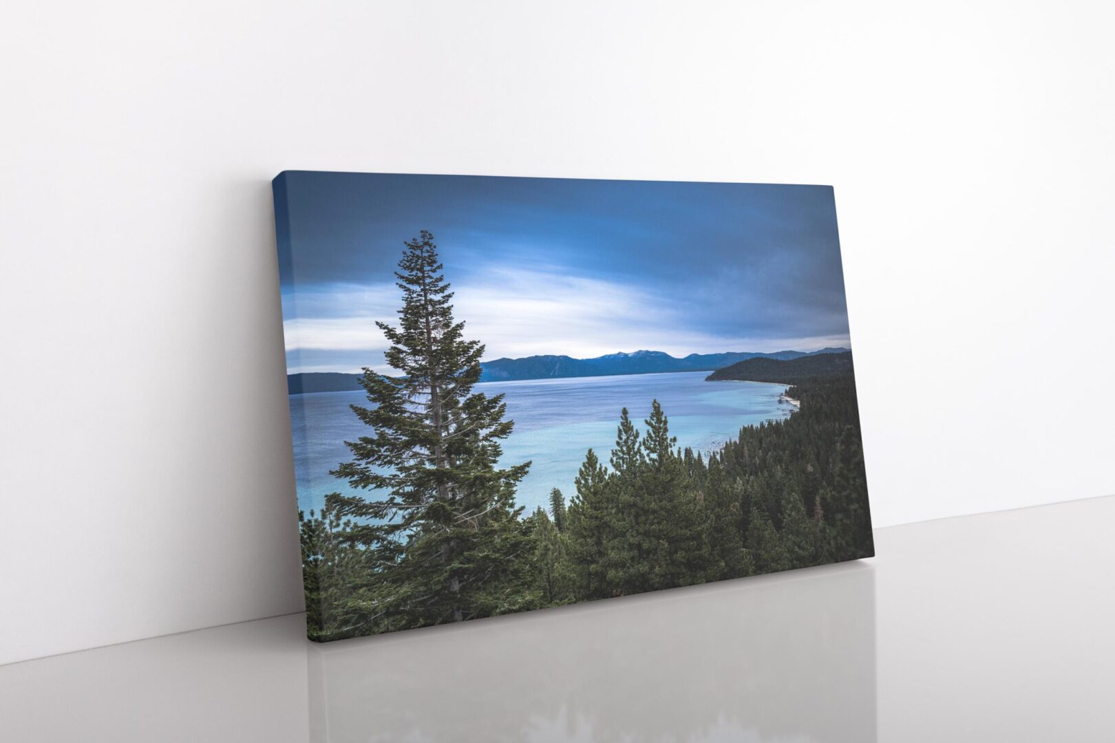 A picture of the ocean and trees on display.