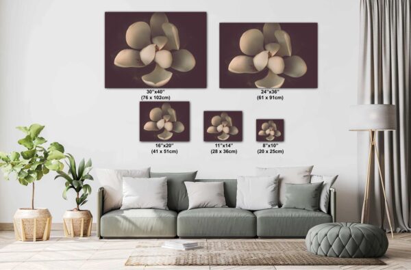 A living room with couch and pillows and many pictures