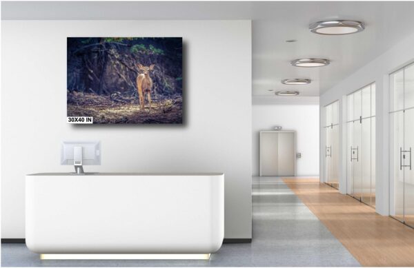 A bathroom with a television and a painting