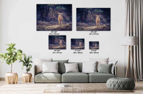 A couch with pillows and two pictures on it