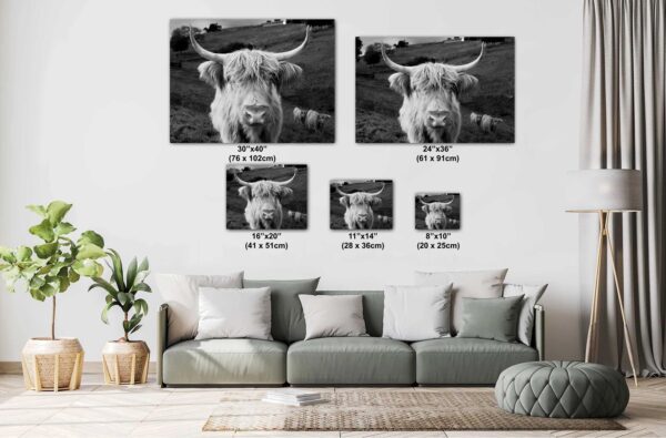 A couch with some pictures of cows on it