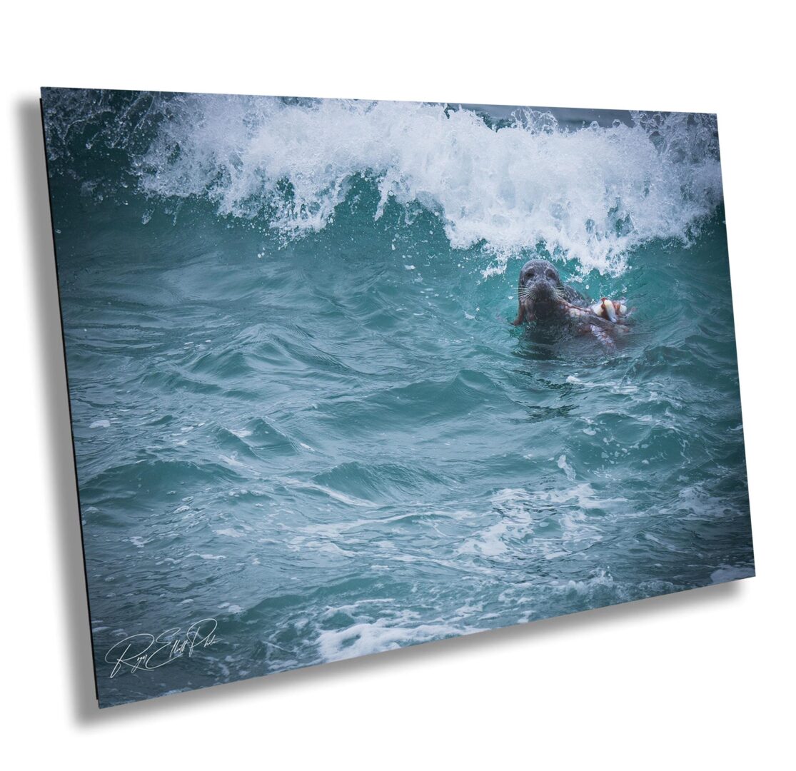 A surfer is riding the waves in the ocean.