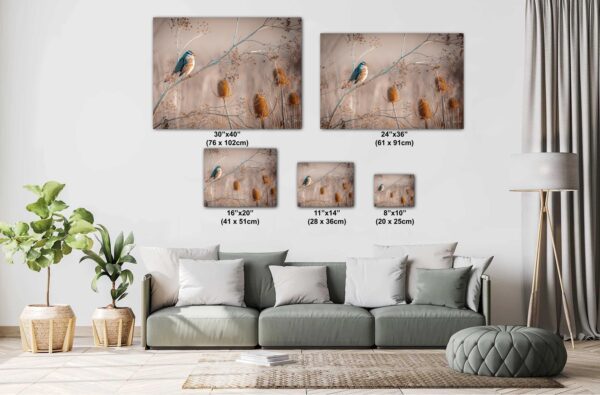 A living room with couch and pillows, and many pictures on the wall.