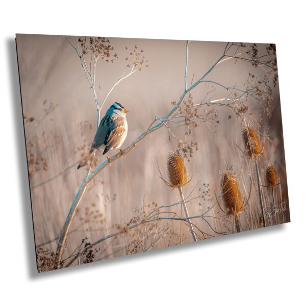 A bird sitting on top of a tree branch.