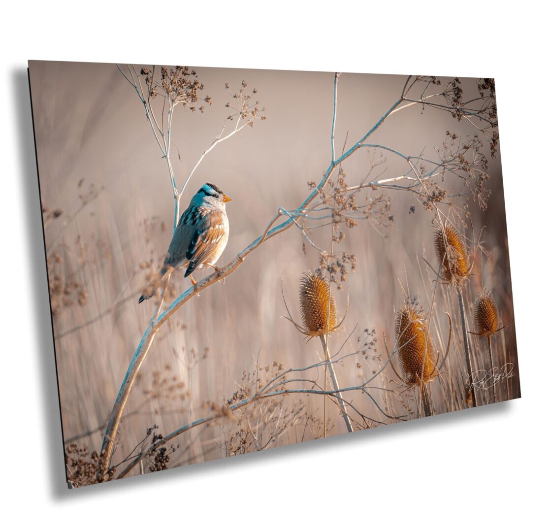 A bird sitting on top of a tree branch.