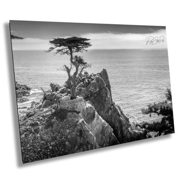 A black and white photo of the ocean with a tree on top.