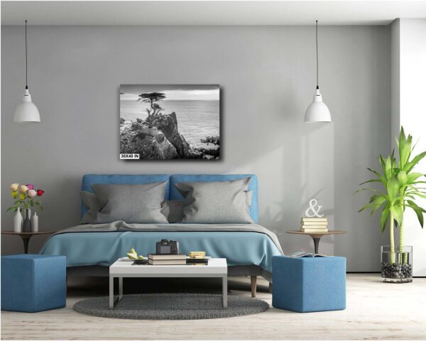 A bedroom with a blue bed and gray walls