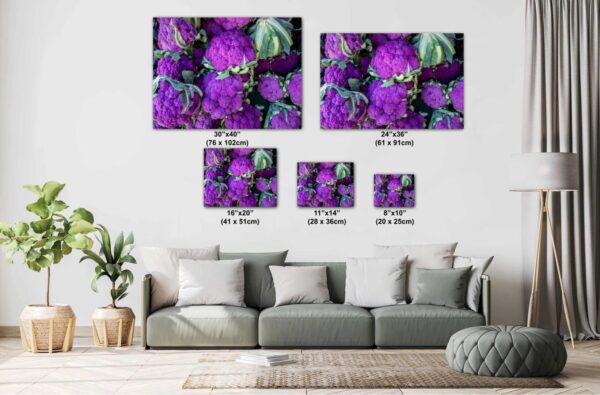 A living room with couch and pillows, and purple flowers.