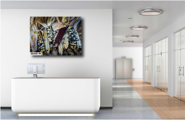 A painting of a bunch of feathers hanging on the wall
