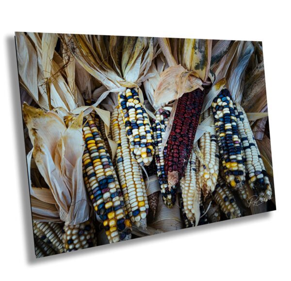 A group of corn is laying on the ground.