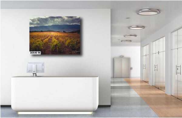 A large painting of a field in front of a wall.